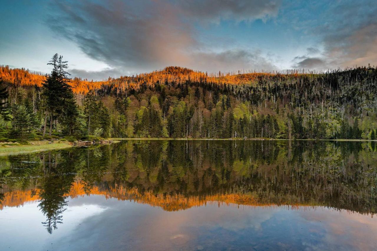 Ferienwohnung Im Landhaus Am Nationalpark Ludwigsthal Eksteriør billede