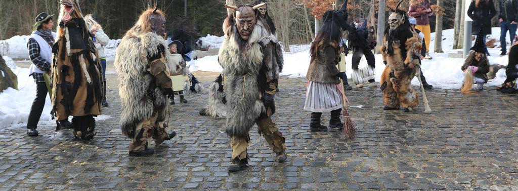 Ferienwohnung Im Landhaus Am Nationalpark Ludwigsthal Eksteriør billede