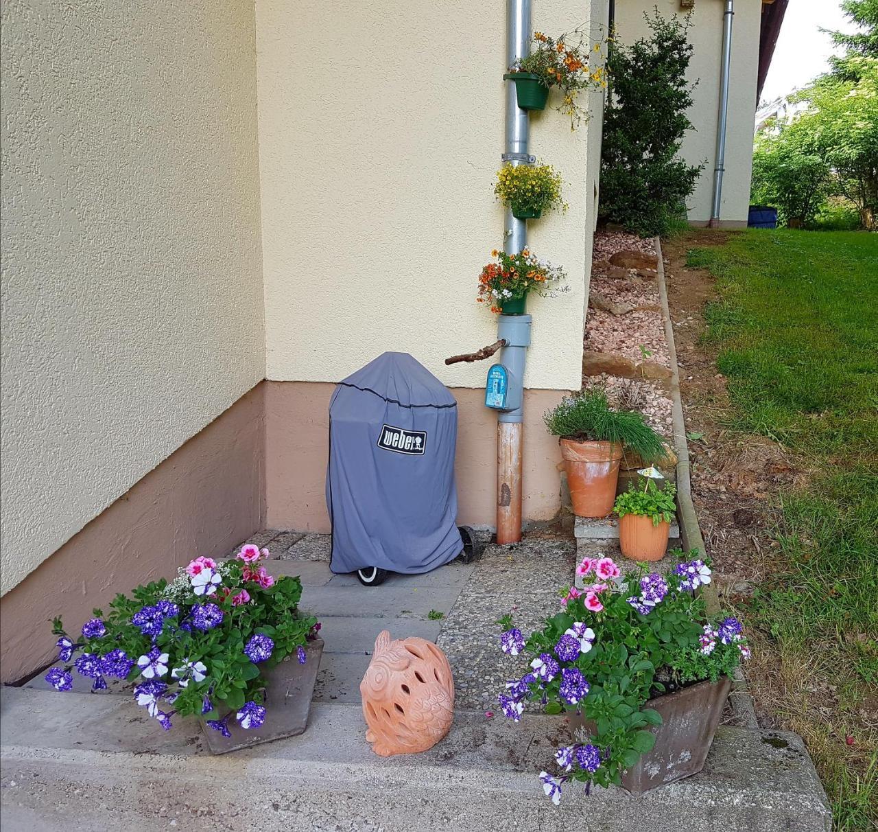Ferienwohnung Im Landhaus Am Nationalpark Ludwigsthal Eksteriør billede